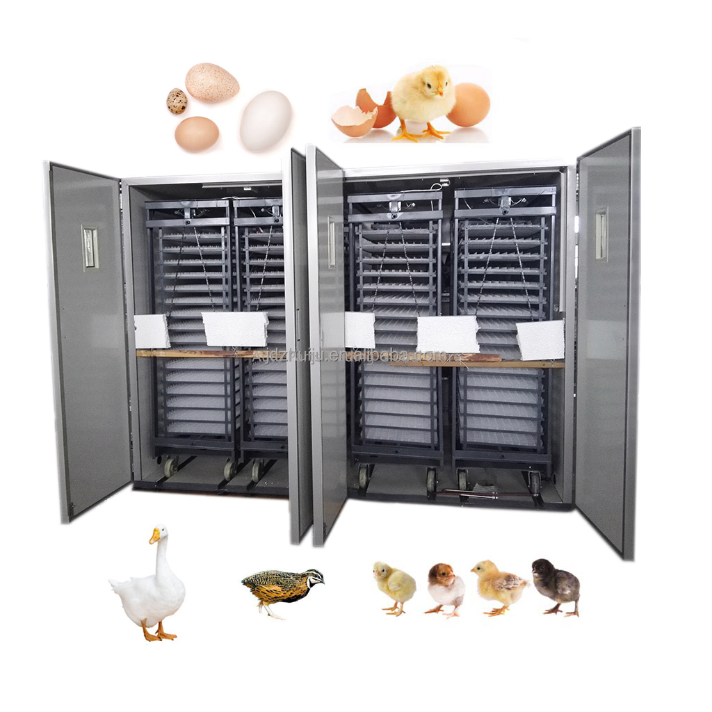 Quail Egg Incubator - 20000개의 계란을 수용할 수 있는 대용량