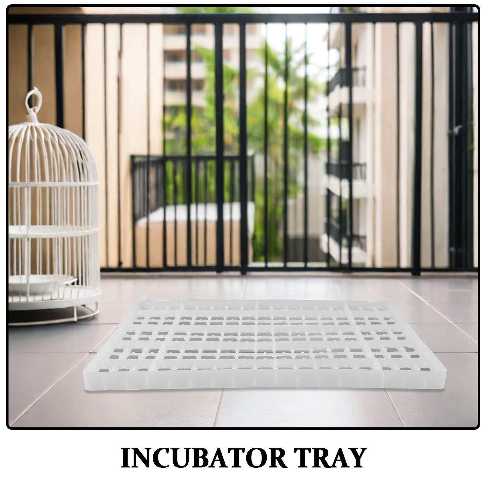 Quail Egg Incubator - 2PCS 계란 부화기 트레이 그리드, 닭고기알