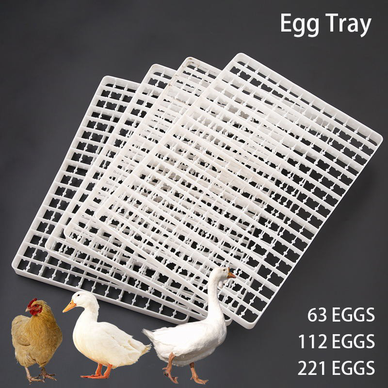 Quail Egg Incubator - 인큐베이터용 계란 트레이, 자동 거위 비둘기