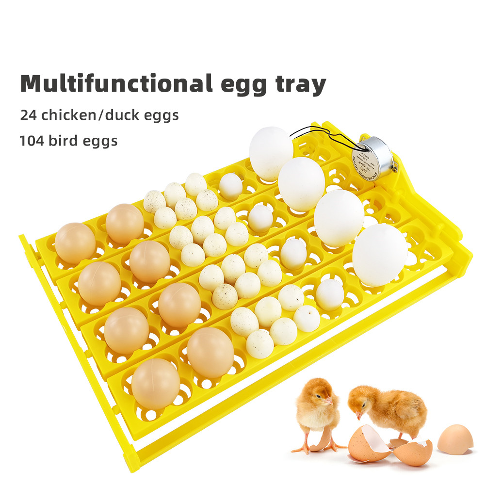 Quail Egg Incubator - 24pcs 계란 인큐베이터 트레이 자동 계란