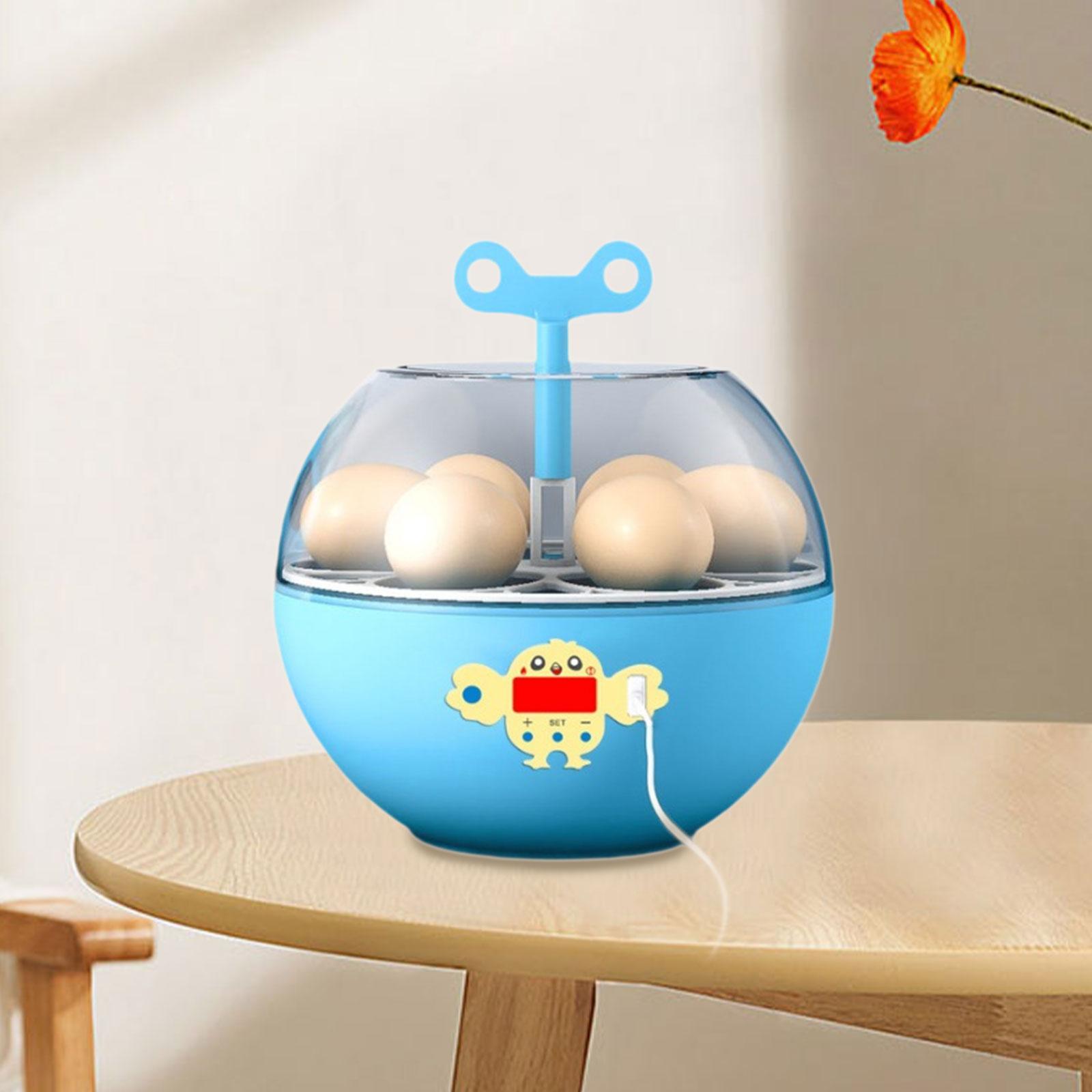 Quail Egg Incubator - 6구 계란 부화기, 미니 가시형 부화기,
