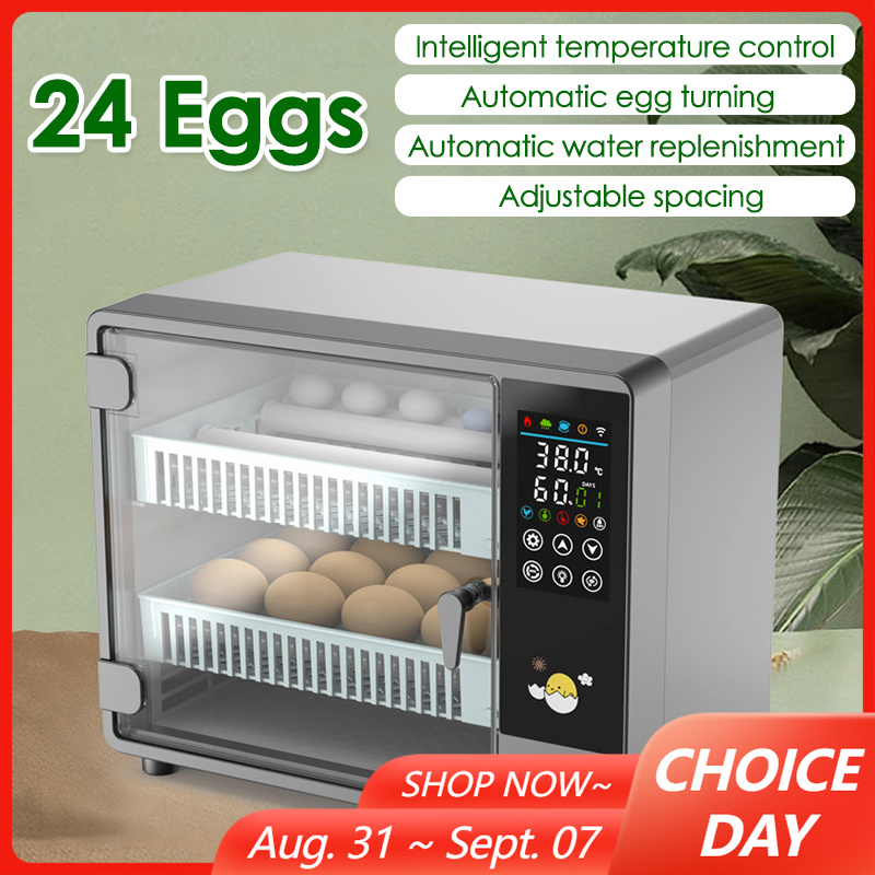 24개 계란 완전 자동 회전식 부화기 터치 온도 조절  - Quail Egg Incubator 리뷰 및 가격