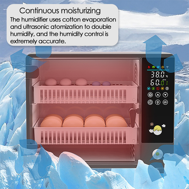24개 계란 완전 자동 회전식 부화기 터치 온도 조절  - Quail Egg Incubator 리뷰 및 가격