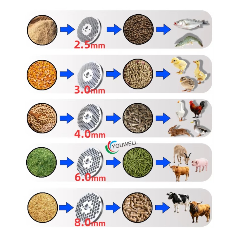 내구성 있는 사료 펠릿 기계 분쇄 디스크 - 농업 및  - Farming Is Part Of Agriculture 리뷰 및 가격