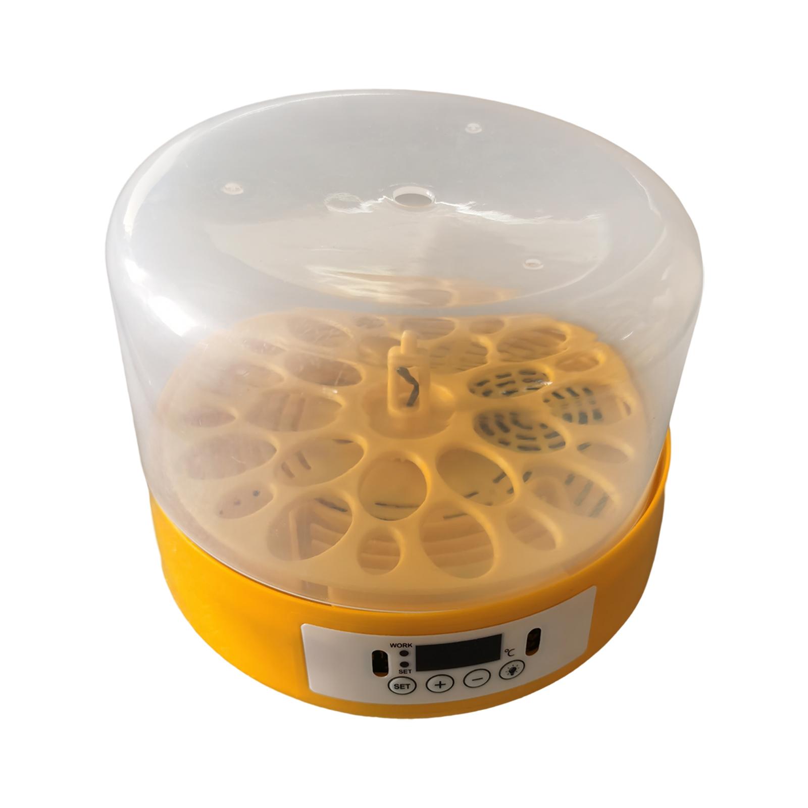 계란 부화기 계란 회전기 조류용 온도 조절 기능 - Quail Egg Incubator 리뷰 및 가격