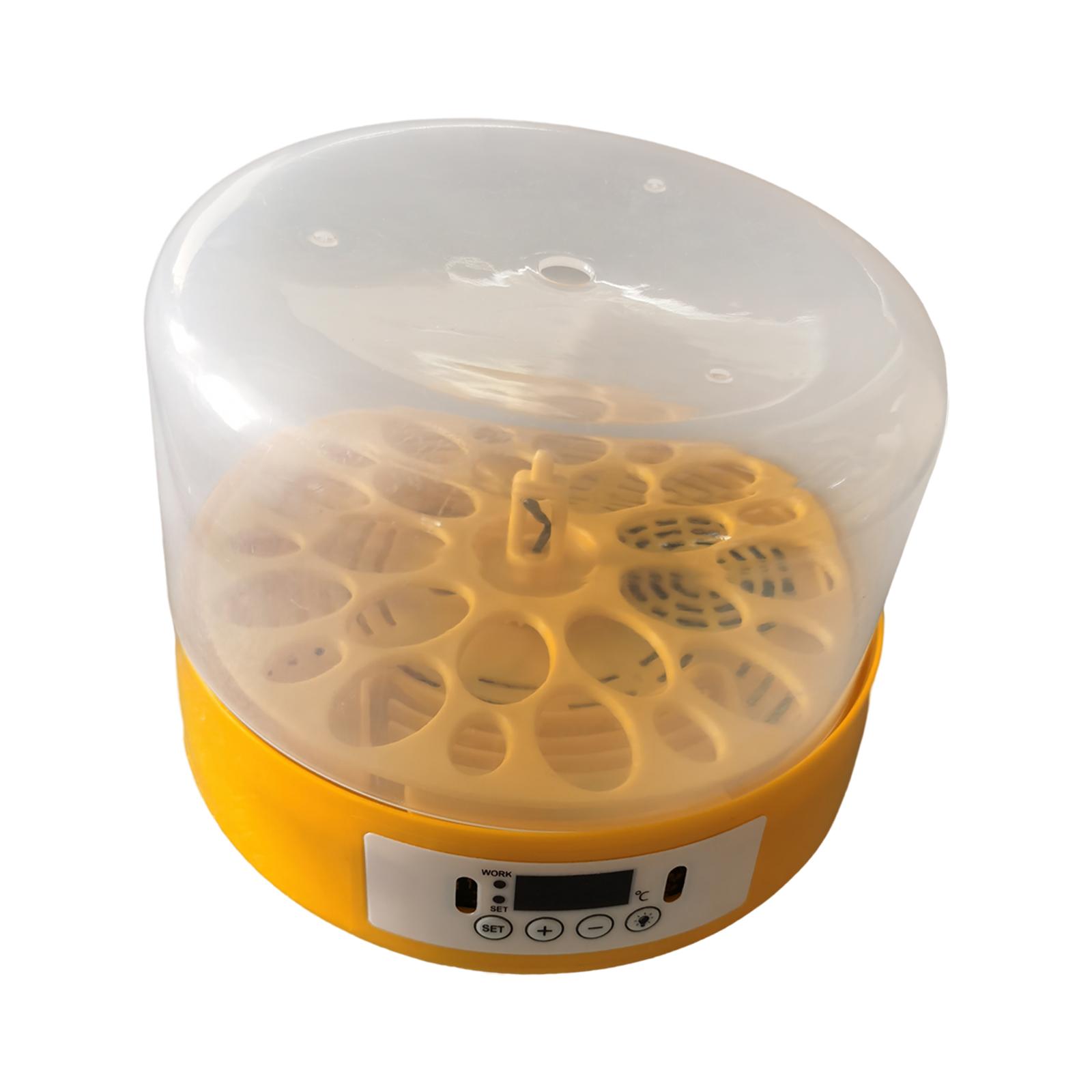 계란 부화기 계란 회전기 조류용 온도 조절 기능 - Quail Egg Incubator 리뷰 및 가격