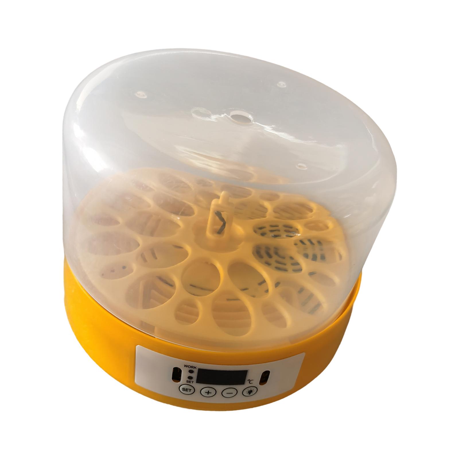 계란 부화기 계란 회전기 조류용 온도 조절 기능 - Quail Egg Incubator 리뷰 및 가격