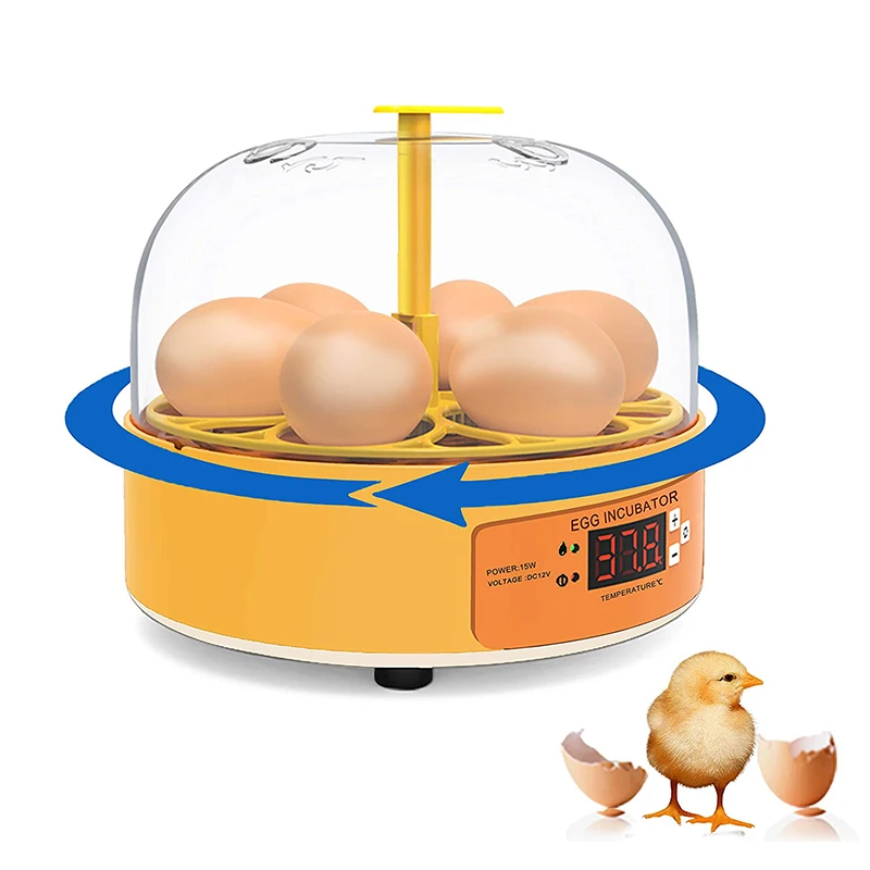 육종 부화기 닭 오리 거위 6구 자동 회전 부화기 미니 - Quail Egg Incubator 리뷰 및 가격