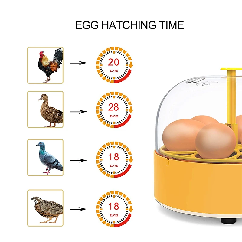 육종 부화기 닭 오리 거위 6구 자동 회전 부화기 미니 - Quail Egg Incubator 리뷰 및 가격