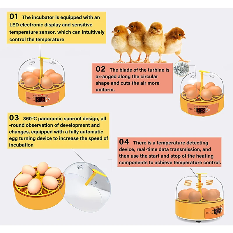 육종 부화기 닭 오리 거위 6구 자동 회전 부화기 미니 - Quail Egg Incubator 리뷰 및 가격