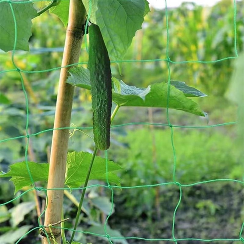 등산 식물 야외 유연한 고품질을위한 정원 격자 그물 식 - Agriculture Farming Net 리뷰 및 가격
