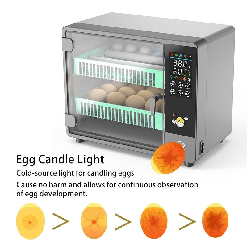 공장 직송 2026년형 완전 자동 디지털 지능형 소형  - Quail Egg Incubator 리뷰 및 가격