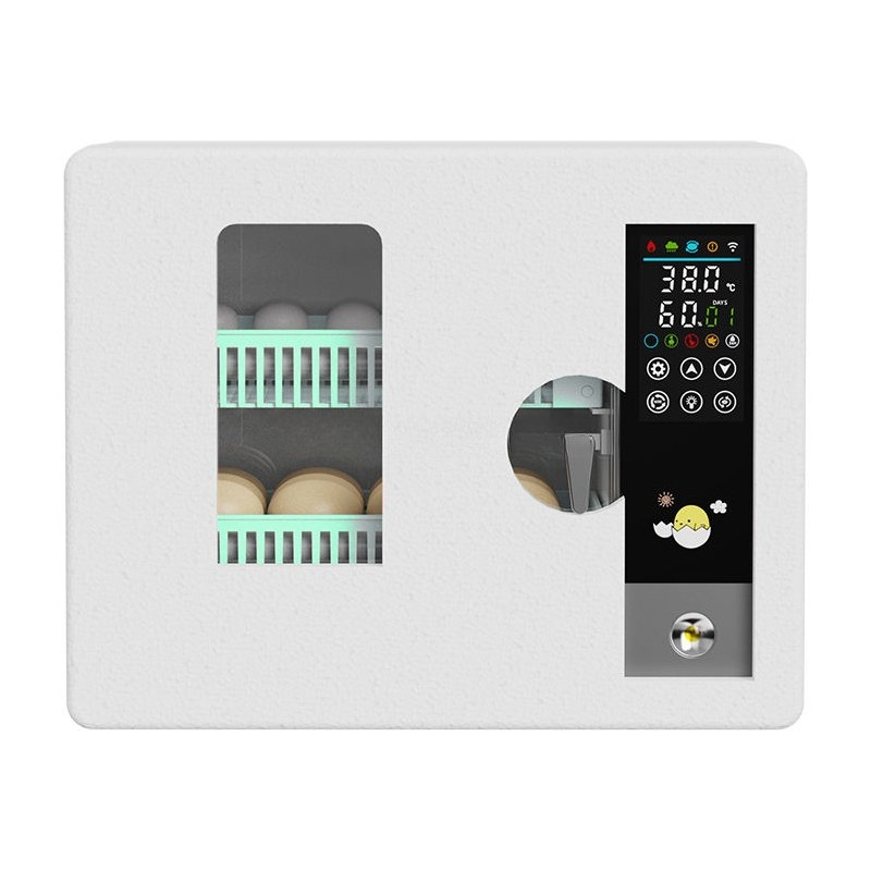 공장 직송 2026년형 완전 자동 디지털 지능형 소형  - Quail Egg Incubator 리뷰 및 가격