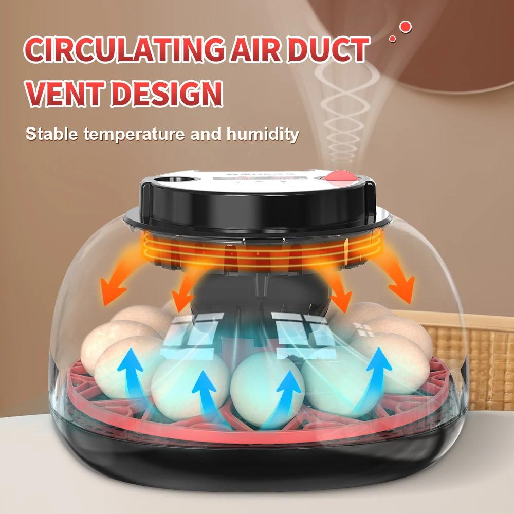 12개 계란 부화기 자동 회전 디지털 부화기 (닭, 메 - Quail Egg Incubator 리뷰 및 가격