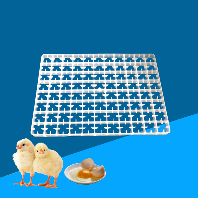 인큐베이터용 계란 트레이, 자동 거위 비둘기 오리 메추 - Quail Egg Incubator 리뷰 및 가격