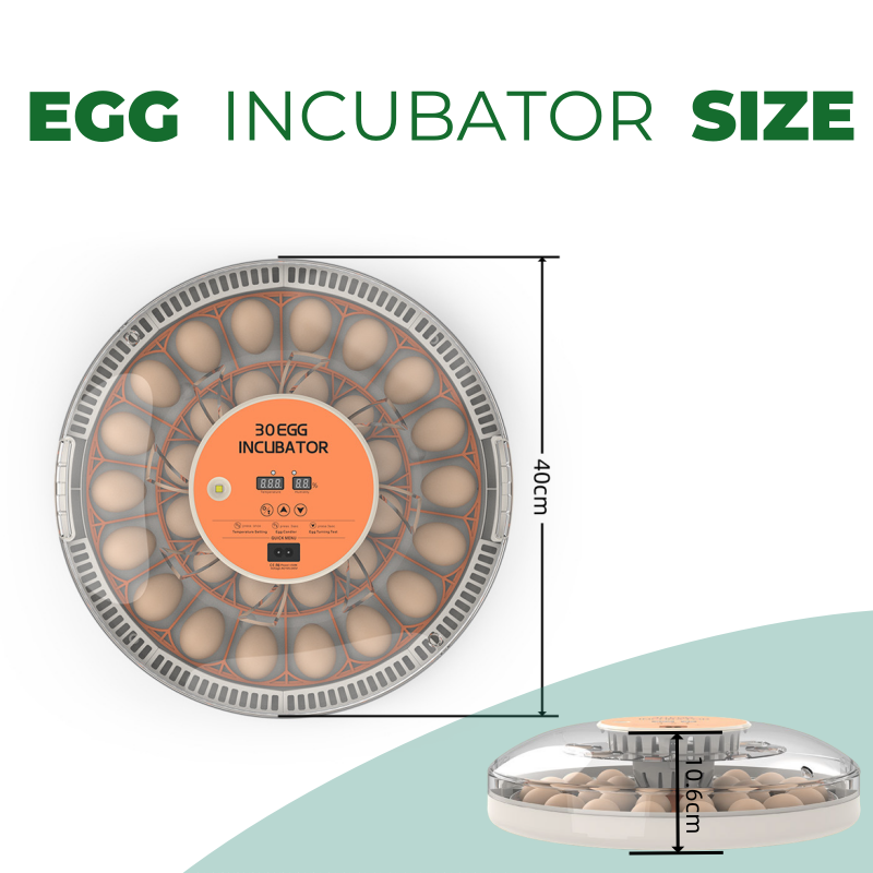 STLF30 가정용 자동 부화기, 닭, 오리, 메추리  - Quail Egg Incubator 리뷰 및 가격
