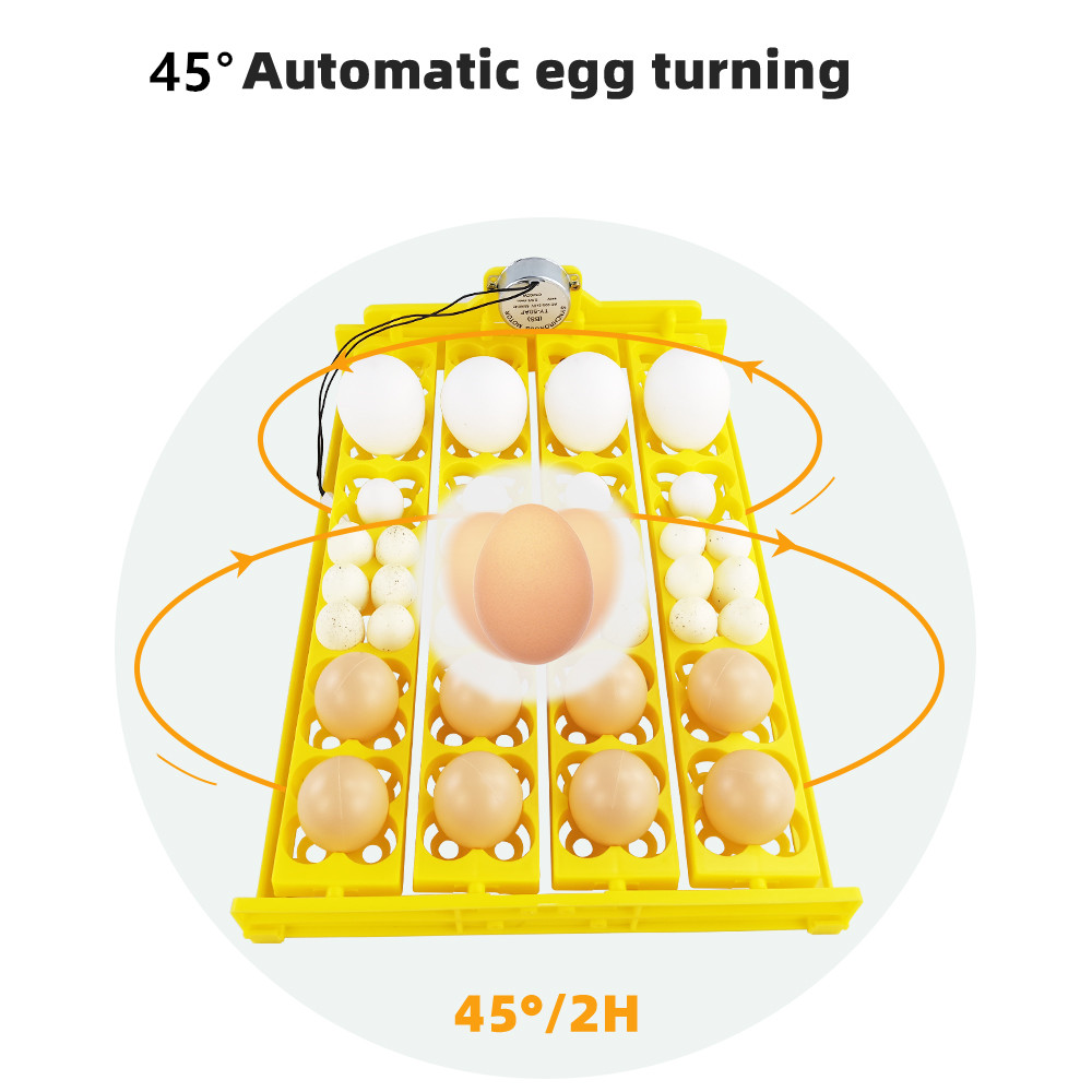 24pcs 계란 인큐베이터 트레이 자동 계란 터너 터닝 - Quail Egg Incubator 리뷰 및 가격