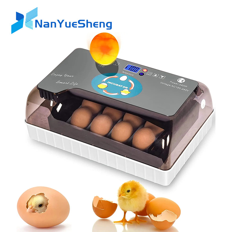 자동 HHD 최고의 디지털 12 병아리 계란 부화장 기 - Quail Egg Incubator 리뷰 및 가격