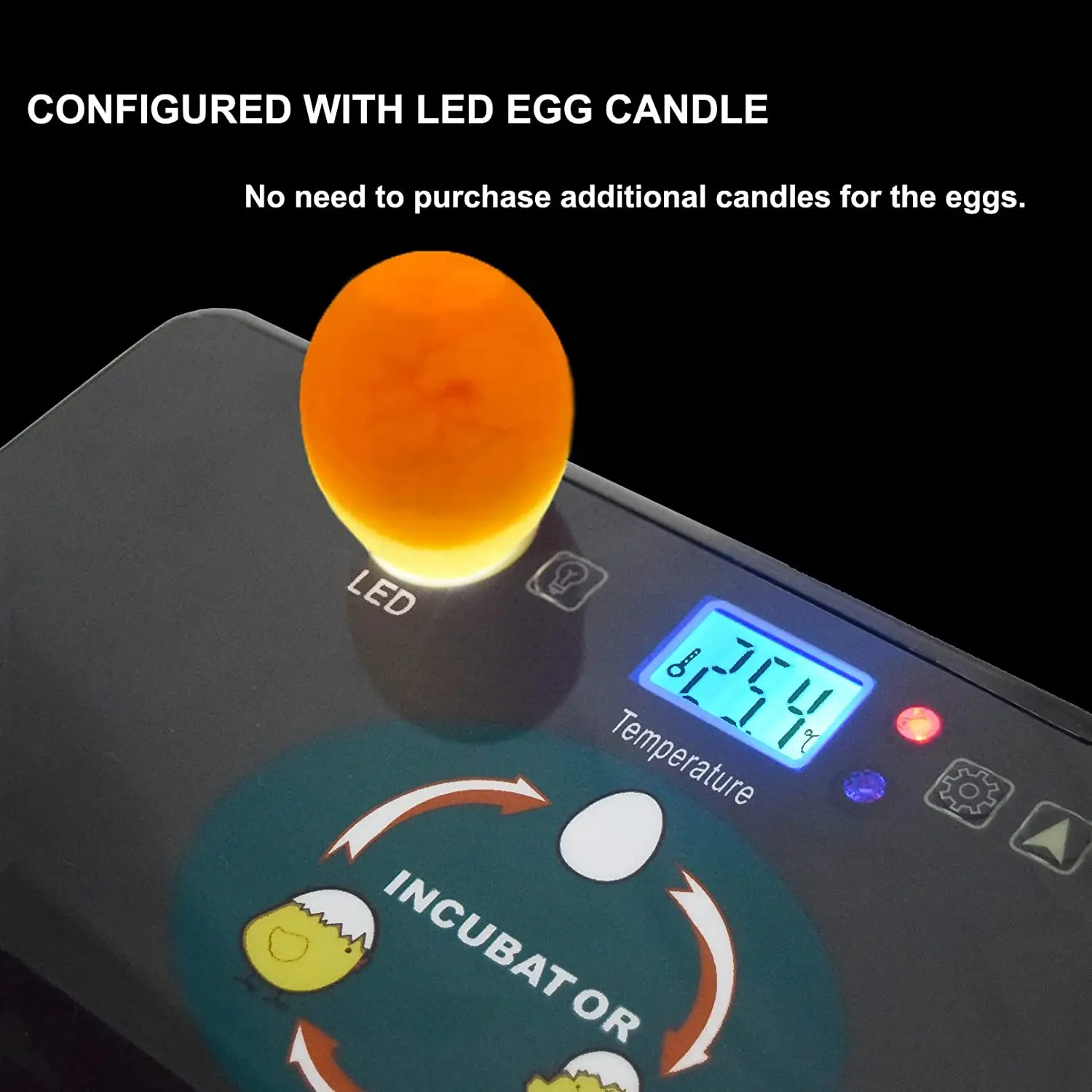 자동 HHD 최고의 디지털 12 병아리 계란 부화장 기 - Quail Egg Incubator 리뷰 및 가격