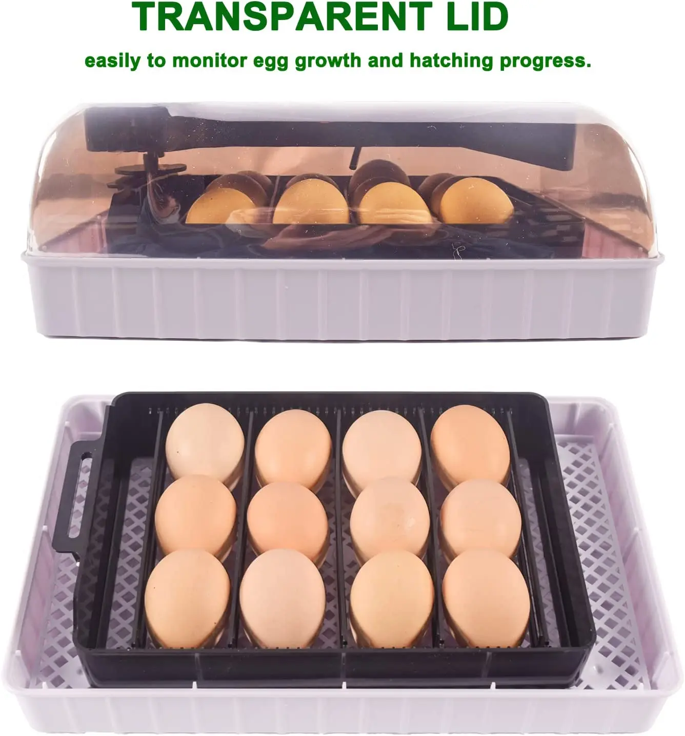 자동 HHD 최고의 디지털 12 병아리 계란 부화장 기 - Quail Egg Incubator 리뷰 및 가격