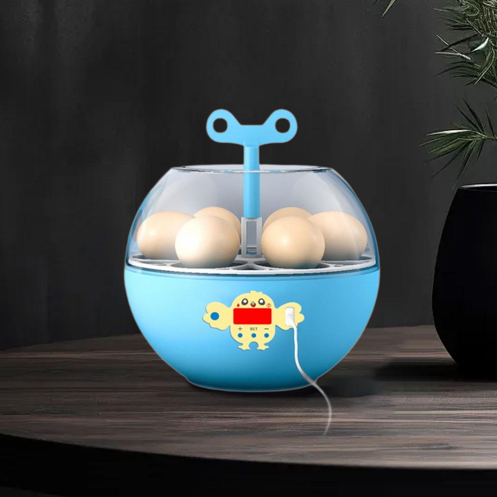 6구 계란 부화기, 미니 가시형 부화기, 가금류 부화기 - Quail Egg Incubator 리뷰 및 가격