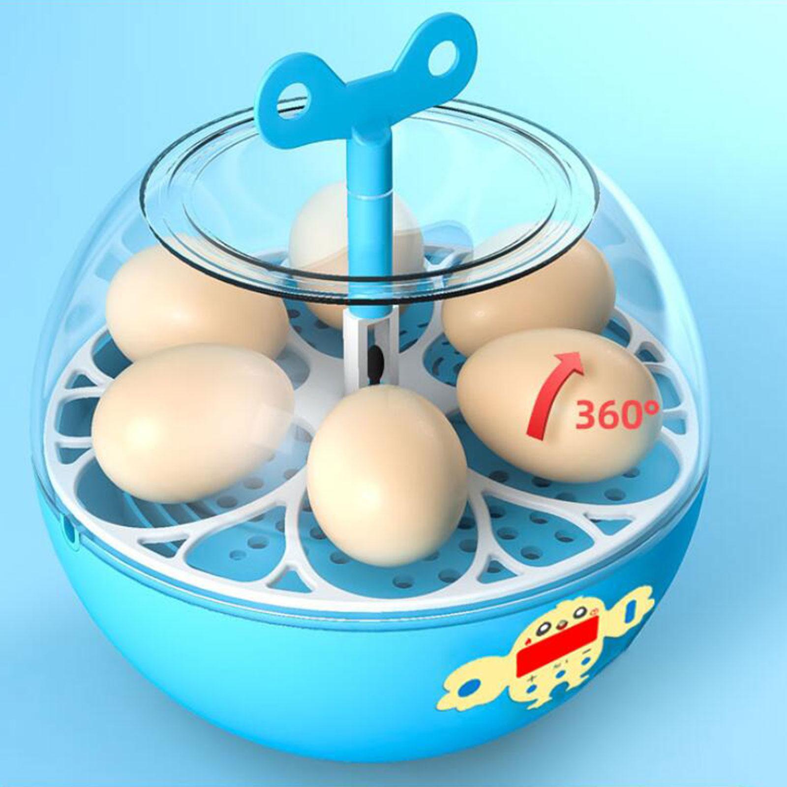6구 계란 부화기, 미니 가시형 부화기, 가금류 부화기 - Quail Egg Incubator 리뷰 및 가격