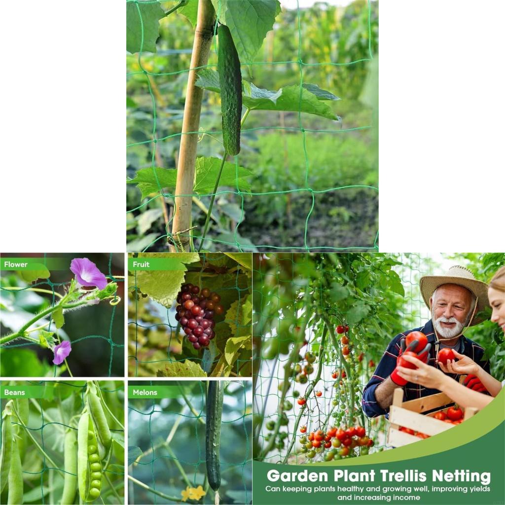 등산 식물을위한 62KD 식물 격자 그물은 오이 포도  - Agriculture Farming Net 리뷰 및 가격