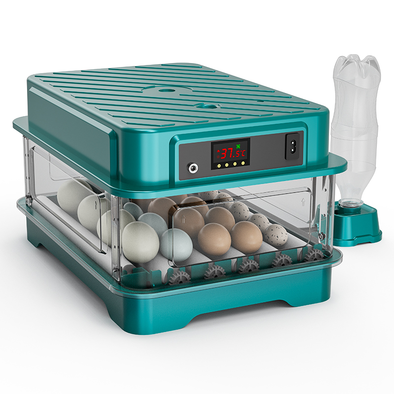 완전 자동 닭, 메추리, 오리, 거위, 비둘기 알 부화 - Quail Egg Incubator 리뷰 및 가격