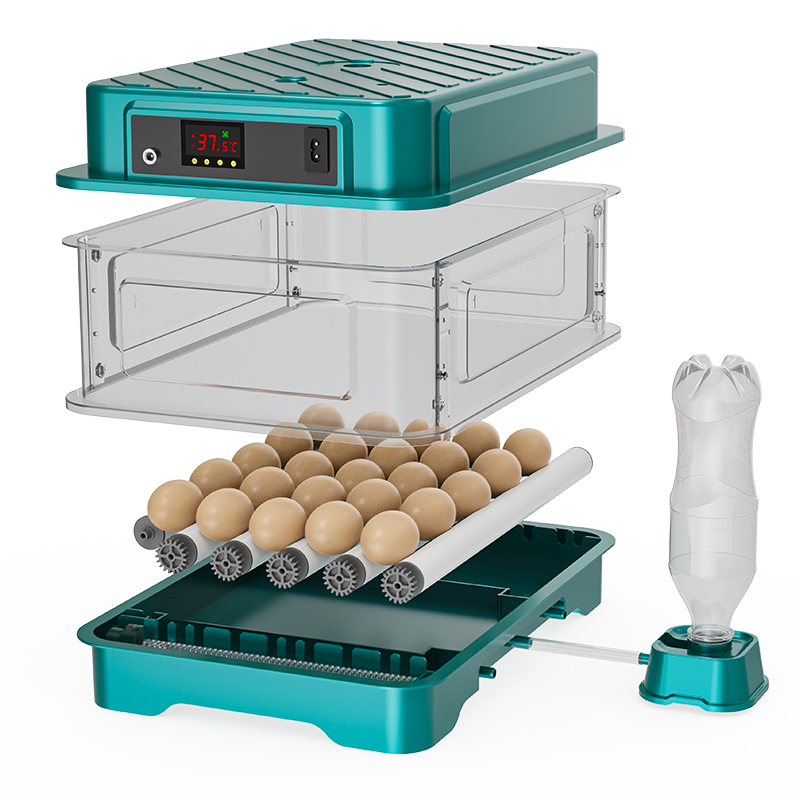 완전 자동 닭, 메추리, 오리, 거위, 비둘기 알 부화 - Quail Egg Incubator 리뷰 및 가격