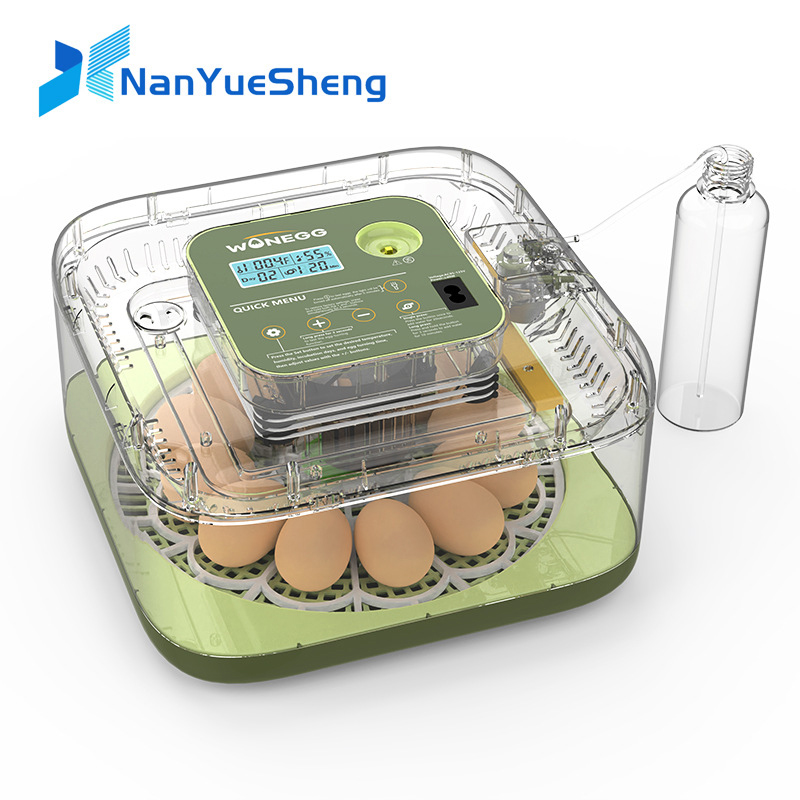 새로운 12구 병아리 계란 부화기, 거위, 닭, 메추리 - Quail Egg Incubator 리뷰 및 가격