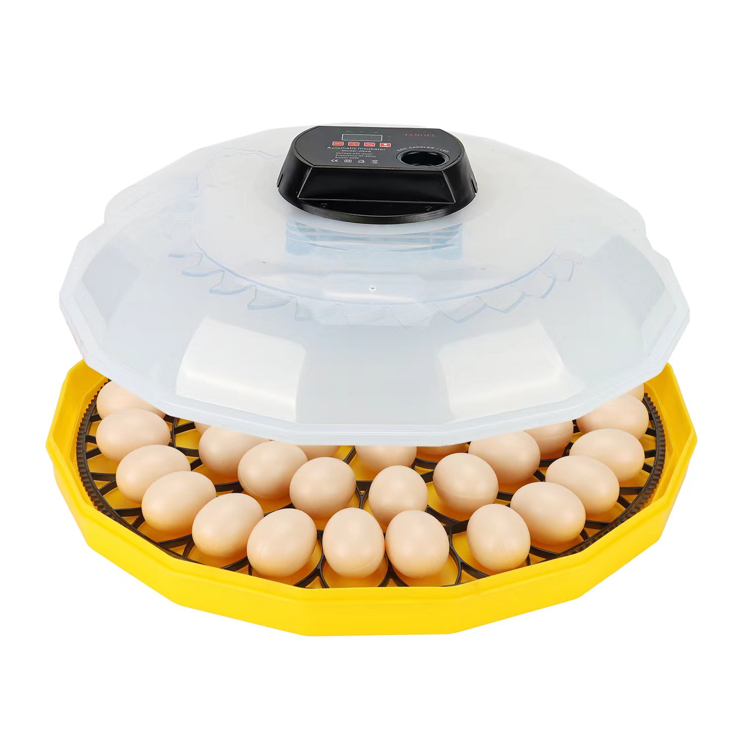 미니 계란 부화기 (닭, 오리, 거위, 새, 비둘기,  - Quail Egg Incubator 리뷰 및 가격