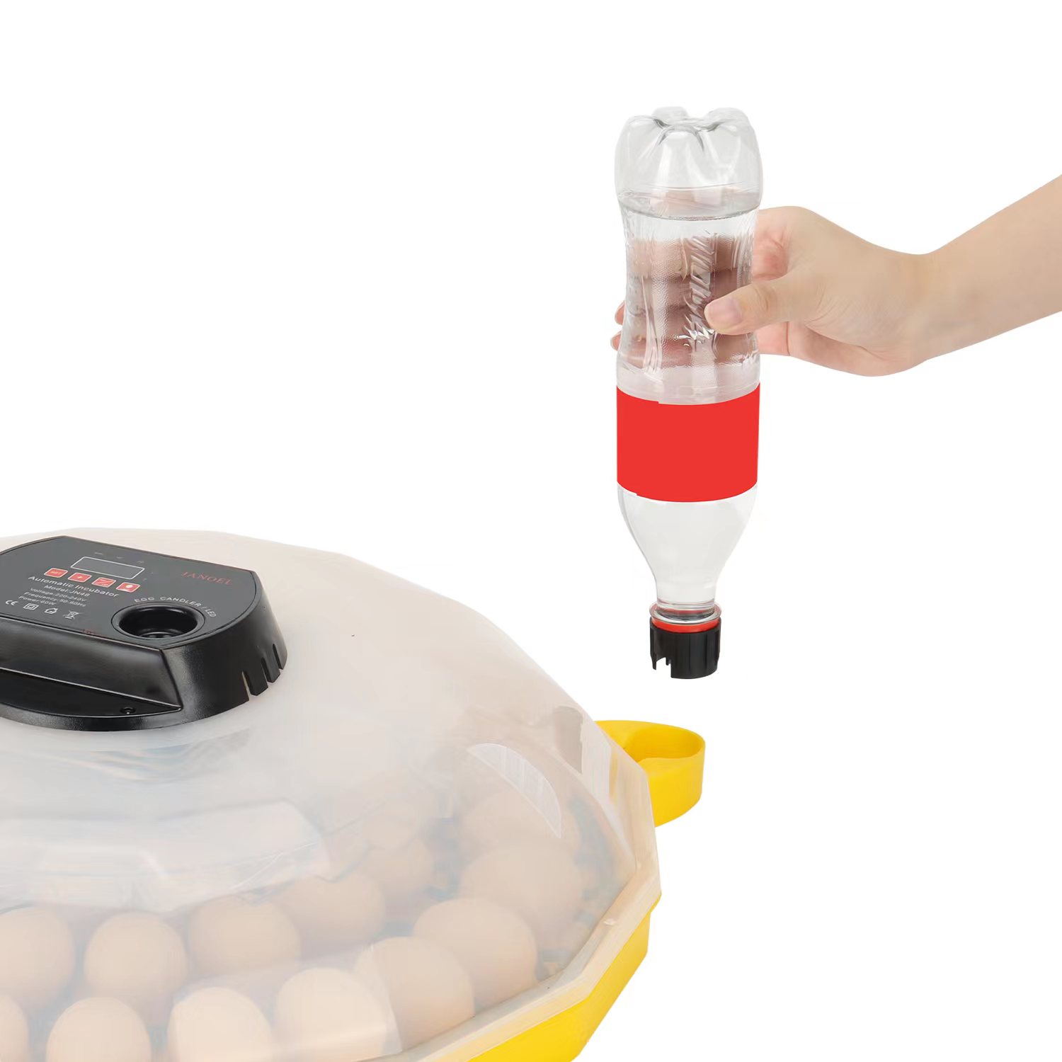 미니 계란 부화기 (닭, 오리, 거위, 새, 비둘기,  - Quail Egg Incubator 리뷰 및 가격