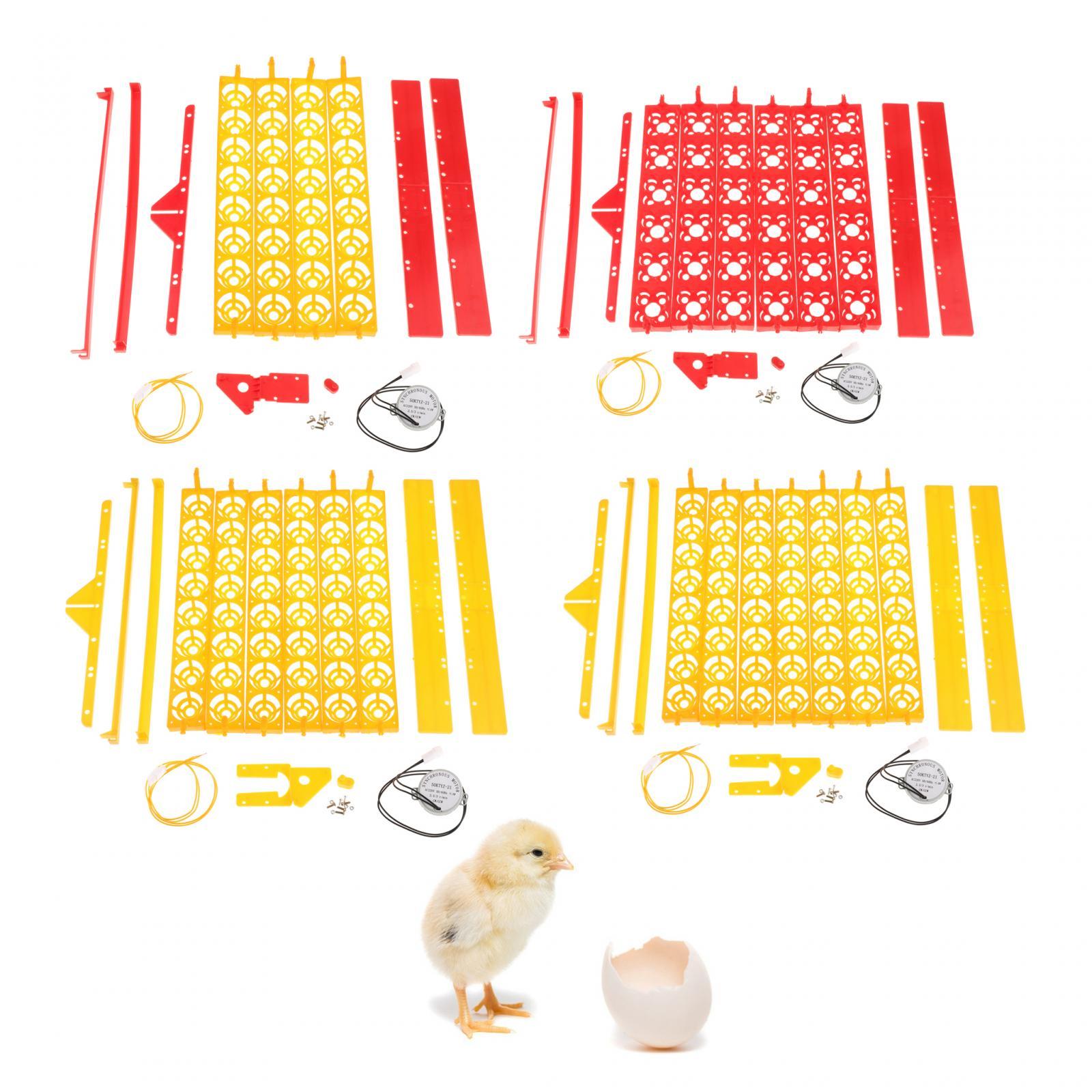 계란 부화기 트레이 플라스틱 자동 회전 모터 부화 기계 - Quail Egg Incubator 리뷰 및 가격